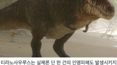 영화때문에 이미지 나빠진 동물